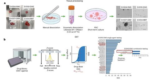 广种薄收与直捣黄龙 肿瘤学产品开发的“太极生两仪”与网络科技技术开发的启示