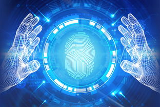 网络科技领域内的技术开发与法律规制